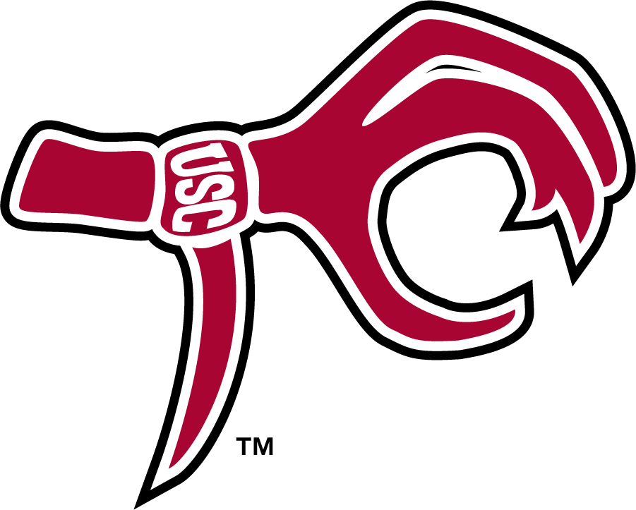 South Carolina Gamecocks 2006-2008 Misc Logo iron on transfers for T-shirts